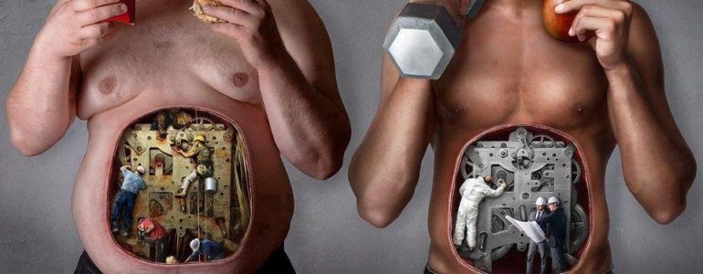 Maigrir - Vite & Bien