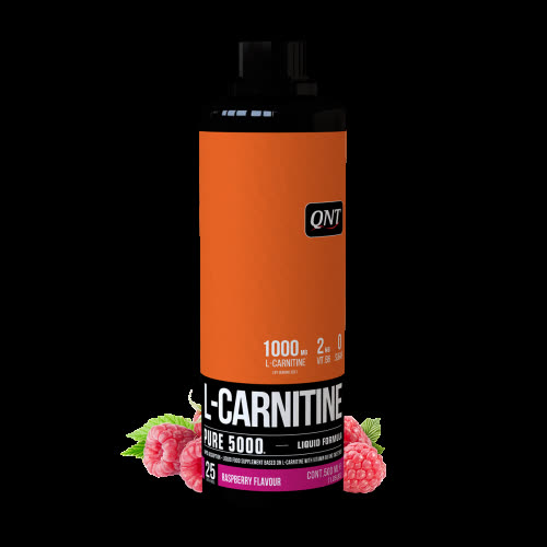 L-CARNITINE LIQUIDE